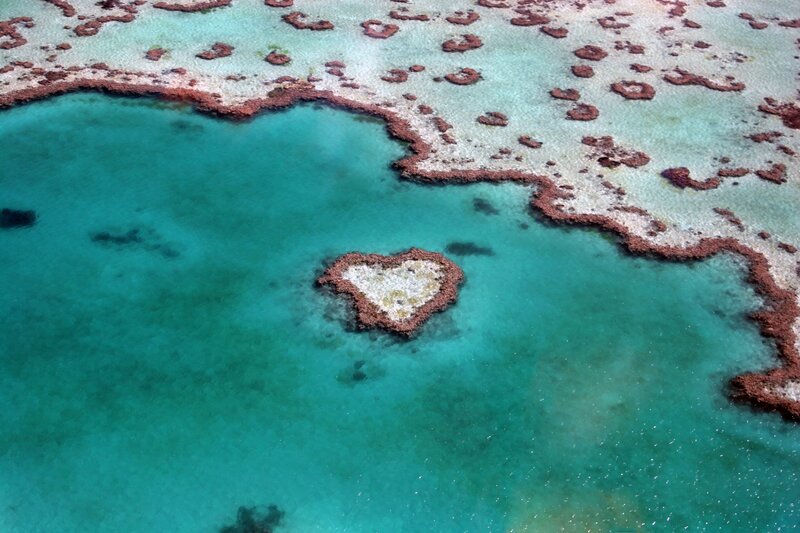Heart-shaped Coral Reef — Turquoise