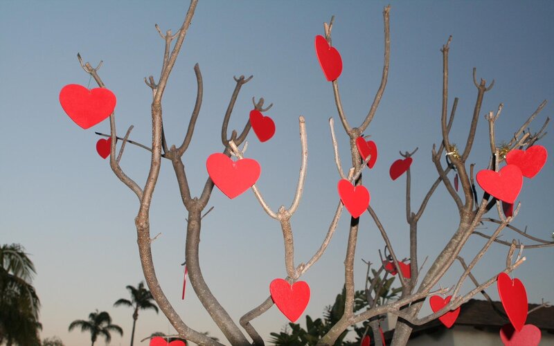 Heart-shaped Decorations on Tree