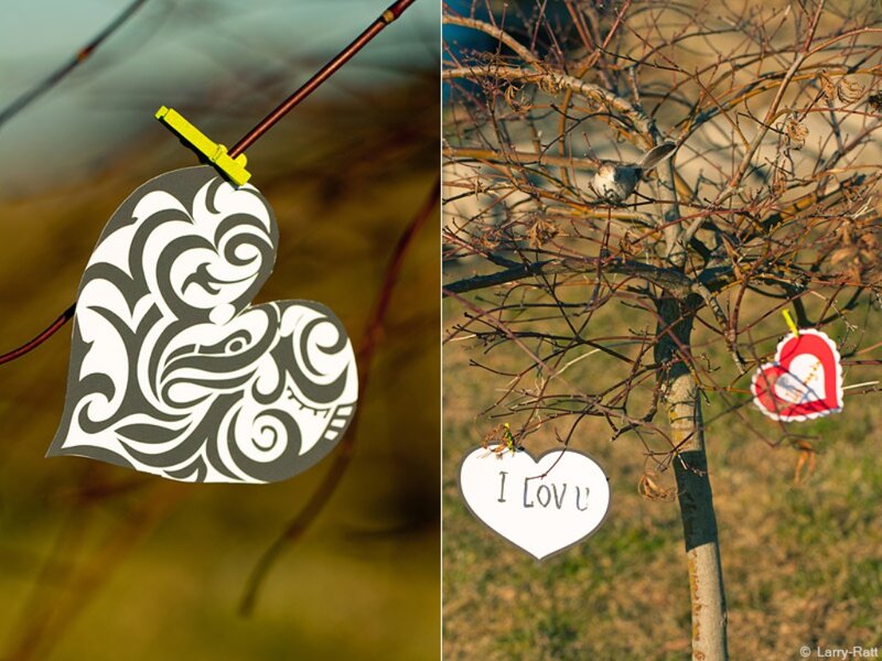 Heart-shaped Decorations — White, Peaceful