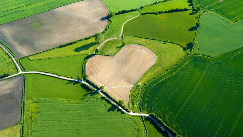 Heart-shaped Field — Green
