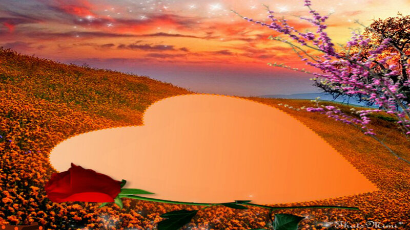 Heart-shaped Field