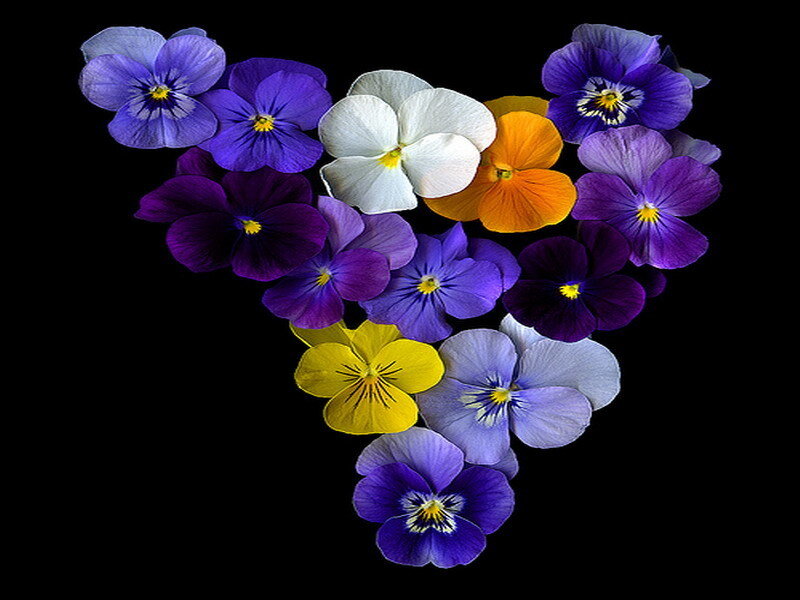 heart-shaped flower arrangement