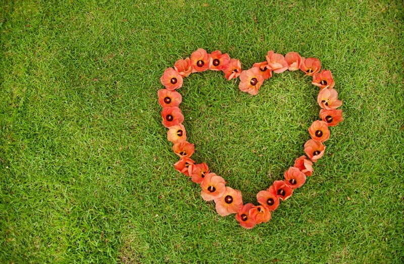Heart-shaped Flower Arrangement — Green, Serene