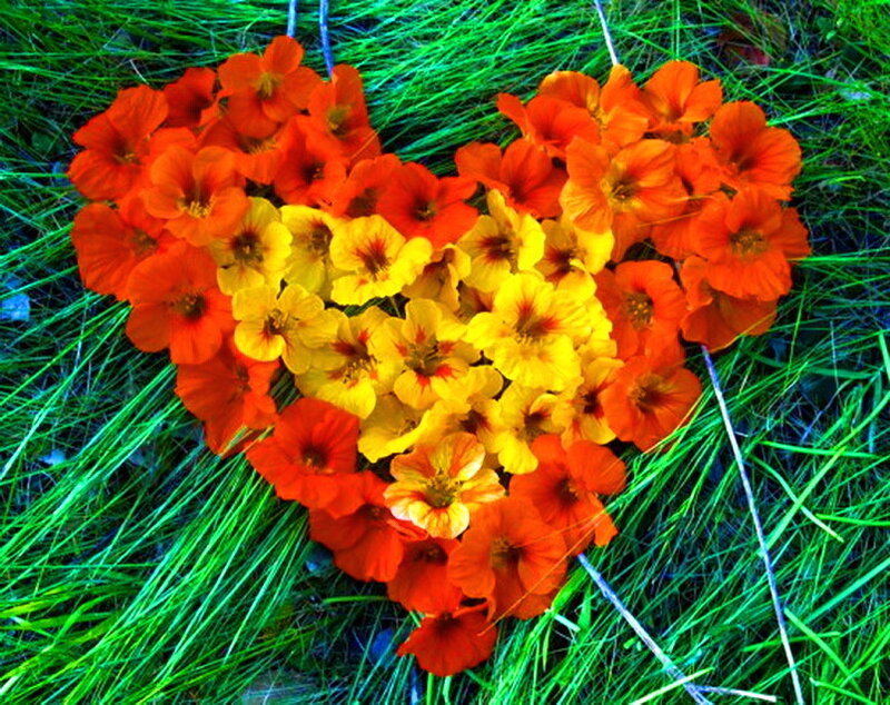 Heart-shaped Flower Arrangement — Orange