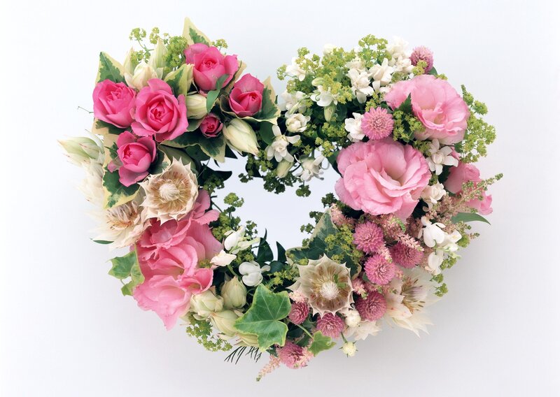 Heart-shaped Flower Arrangement — Pink, Serene, Photograph, Roses