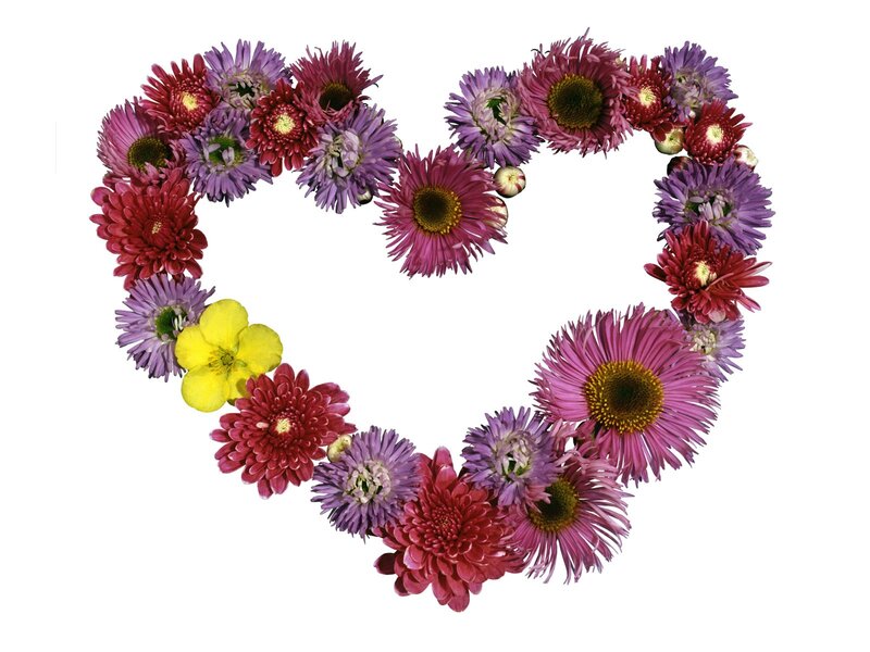 Heart-shaped Flower Arrangement — Purple, Calm, Photograph