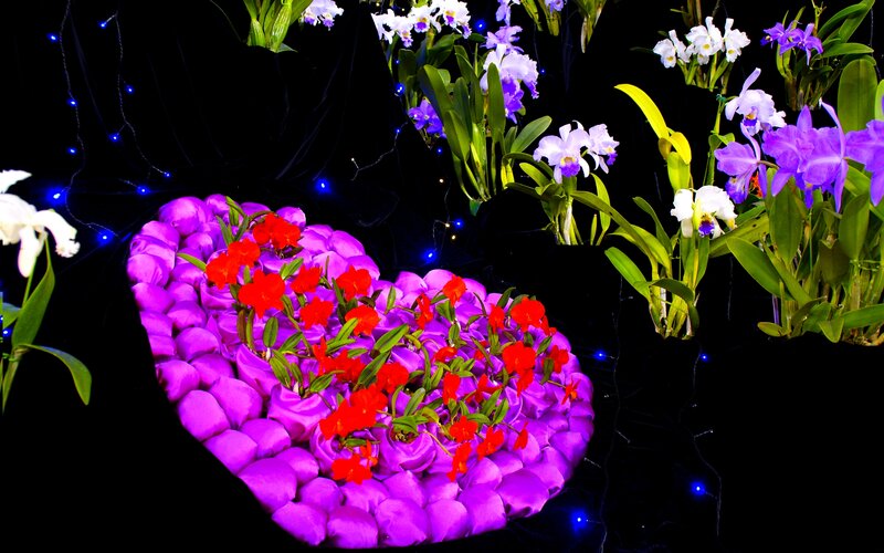 Heart-shaped Flower Arrangement — Purple, Dramatic