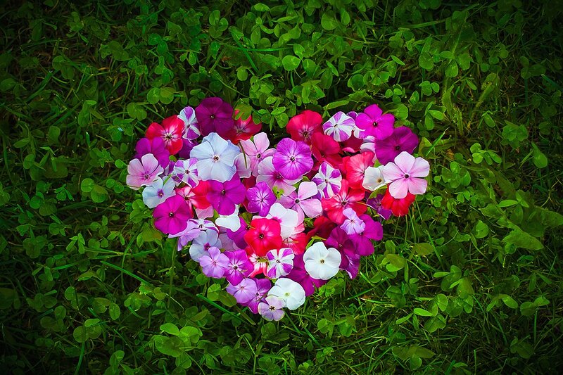 Heart-shaped Flower Arrangement — Purple, Serene