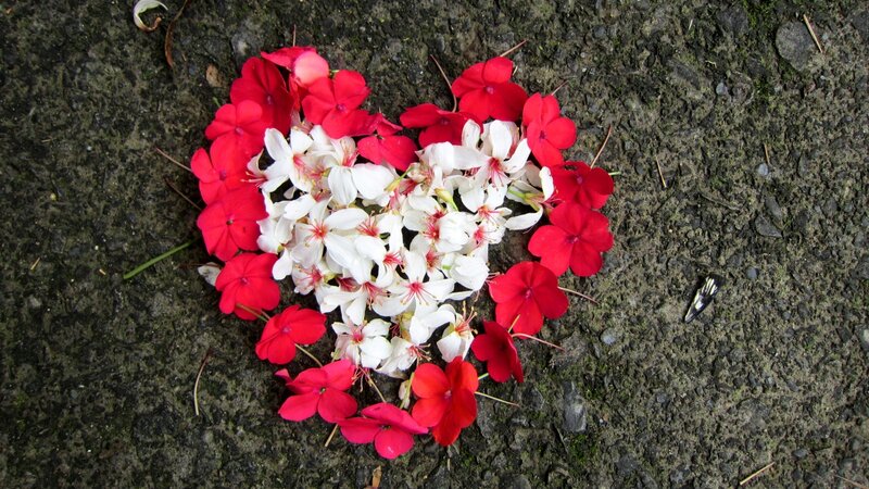 Heart-shaped Flower Arrangement — Red, Calm, Photograph