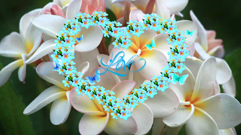 Heart-shaped Flower Arrangement — White, Serene, Digital Art