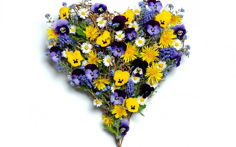 Heart-shaped Flower Arrangement — Yellow, Calm, Spring
