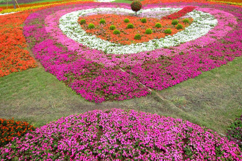 Heart-shaped Flower Bed — Pink