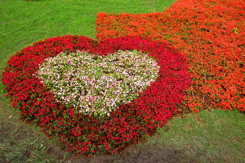 Heart-shaped Flower Bed — Red