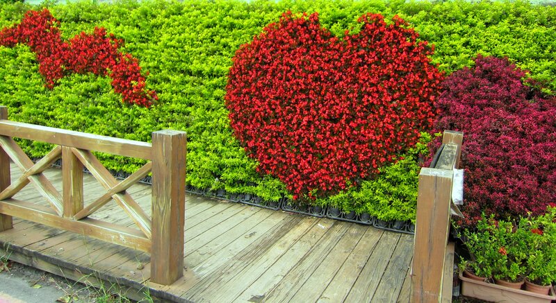 Heart-shaped Flower Bed