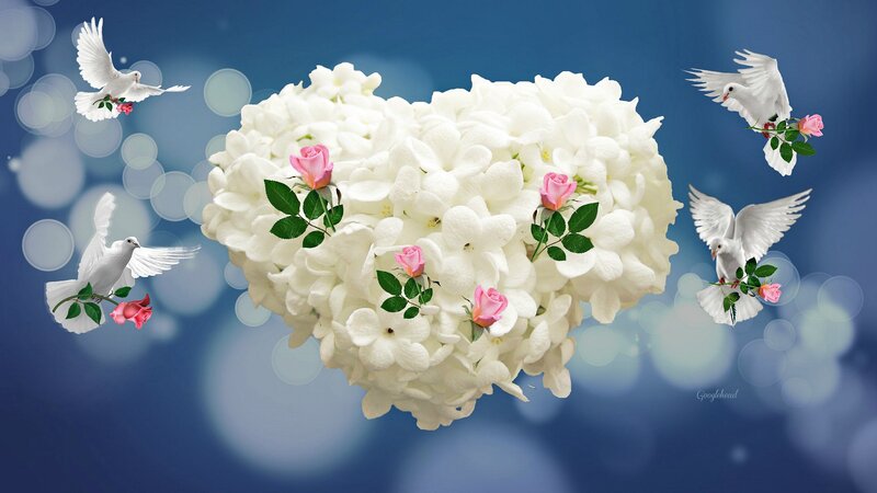 Heart-shaped Flower Bouquet — White, Serene