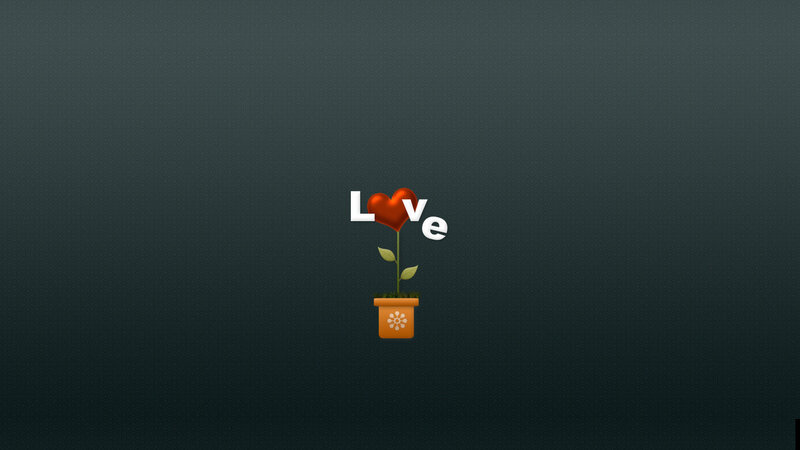 Heart-shaped Flower in Pot