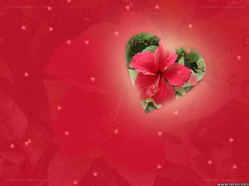 heart-shaped flower on red