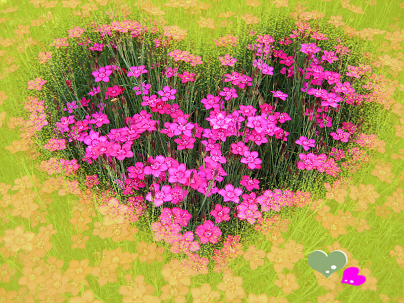 Heart-shaped Flower Patch