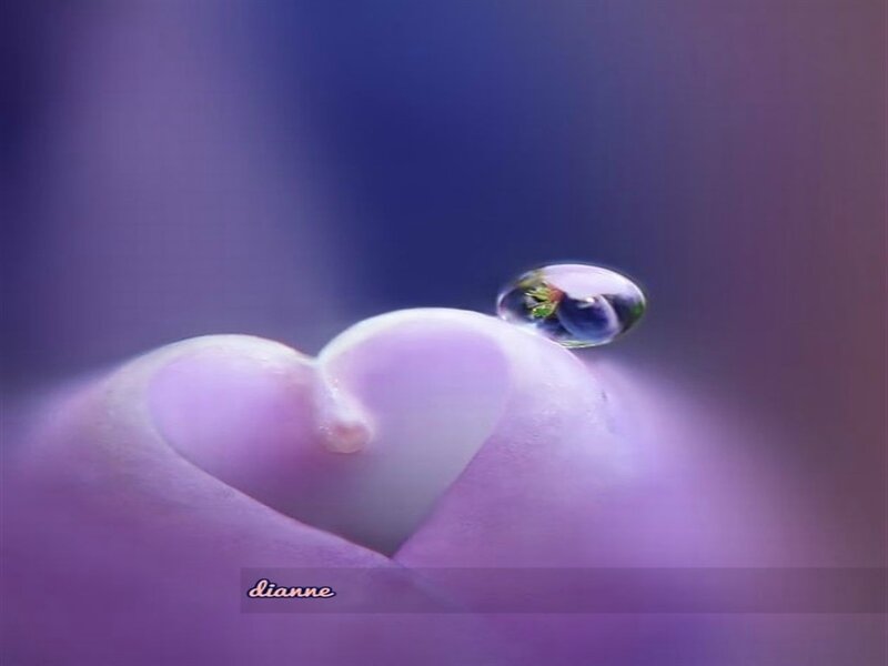 Heart-shaped Flower Petal — Purple