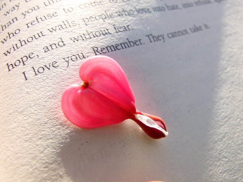 Heart-shaped Flower Petal