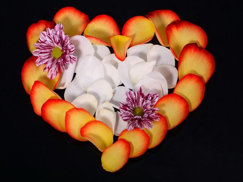 Heart-shaped Flower Petals
