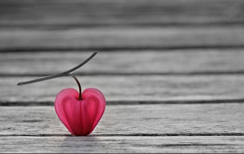 Heart-shaped Flower
