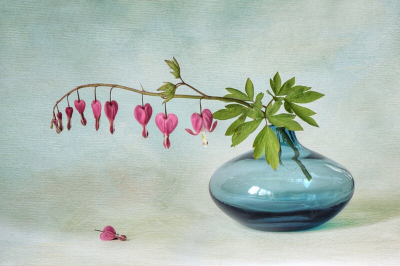 Heart-shaped Flowers in Vase