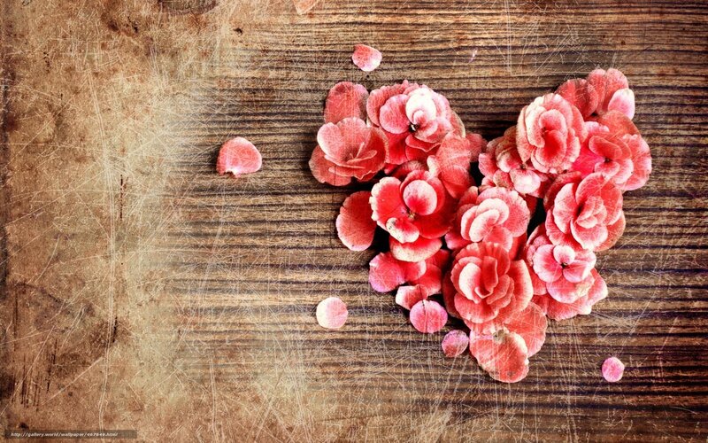 heart-shaped flowers on wood