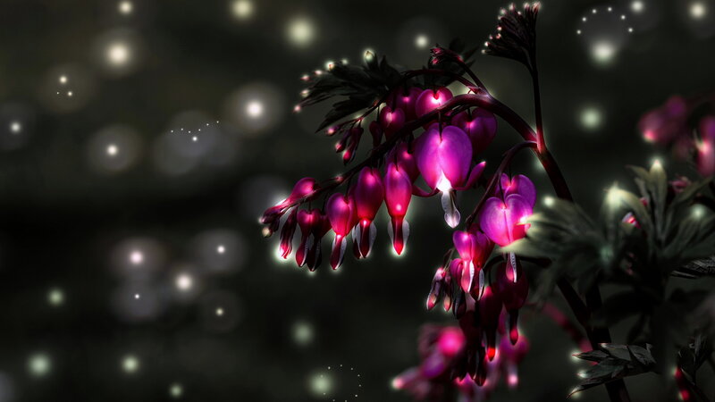 Heart-shaped Flowers — Purple