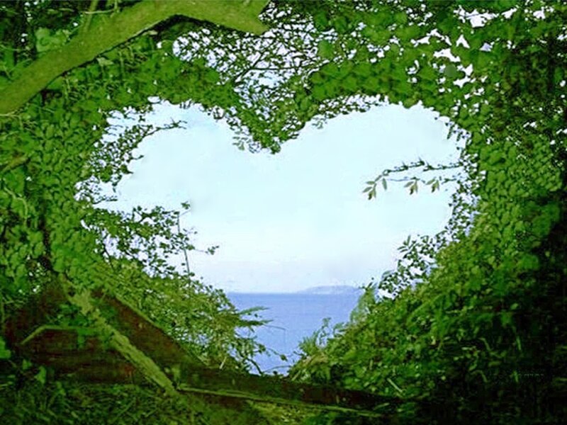 Heart-shaped Foliage Frame