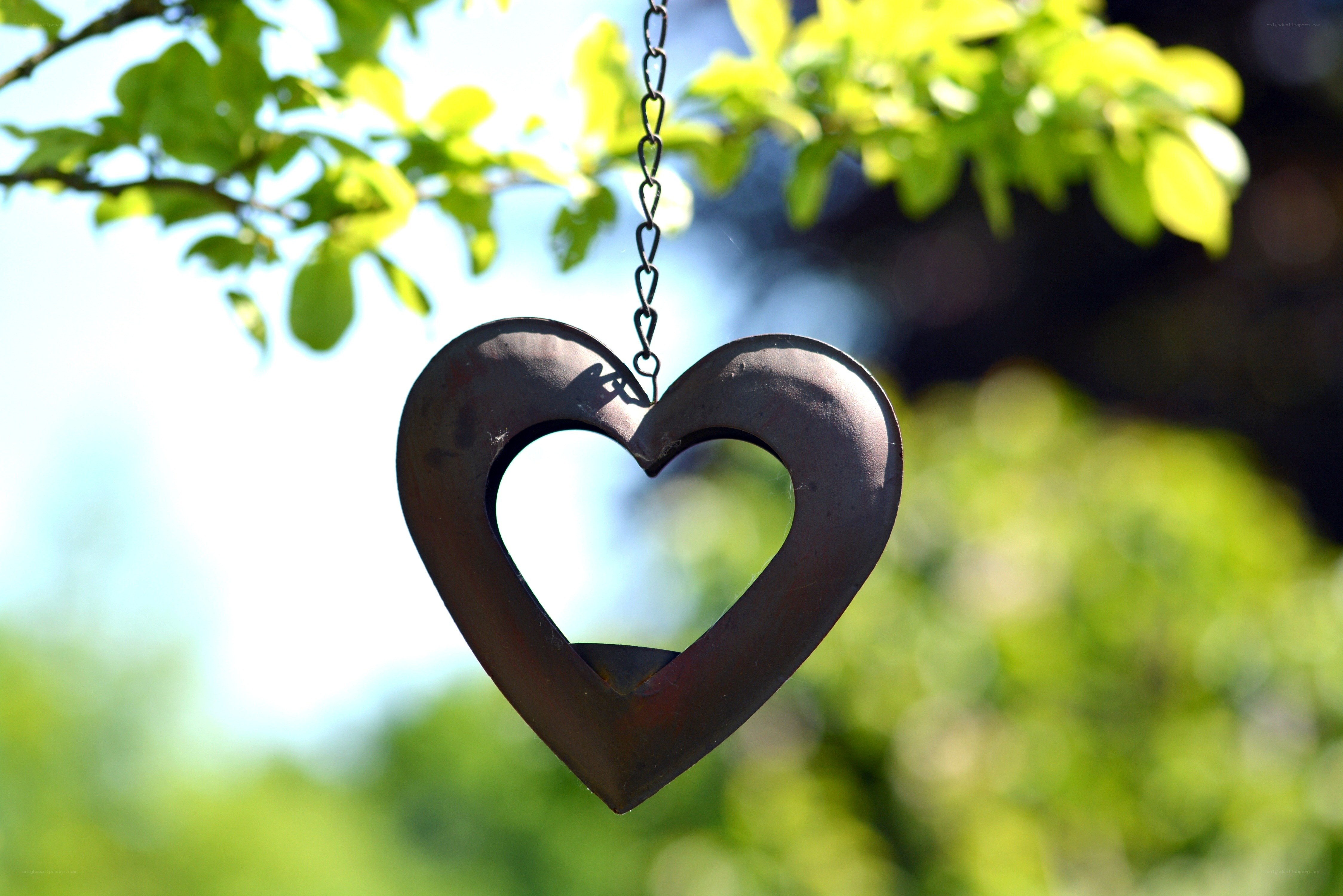 heart-shaped garden ornament