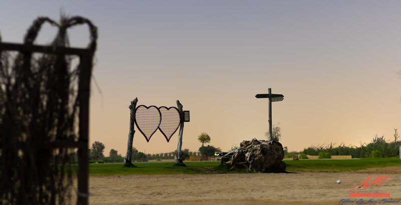 Heart-shaped Gate in Field