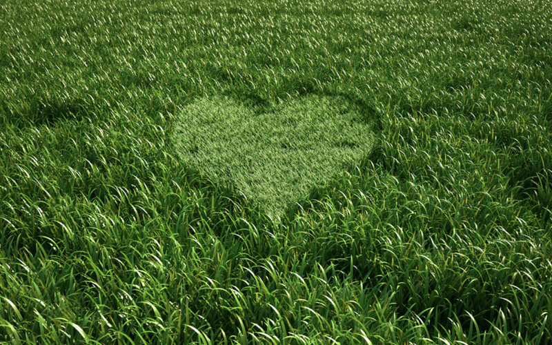 Heart-shaped Grass Patch — Green, Serene