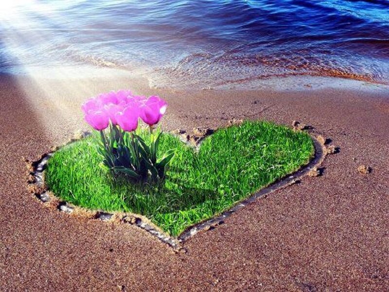 Heart-shaped Grass Patch