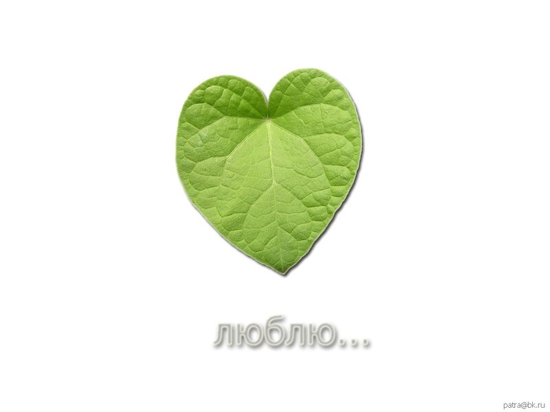 Heart-shaped Green Leaf — Calm