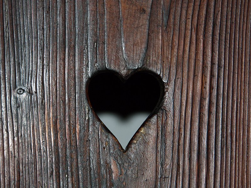 Heart-shaped Hole in Wood — Brown, Calm