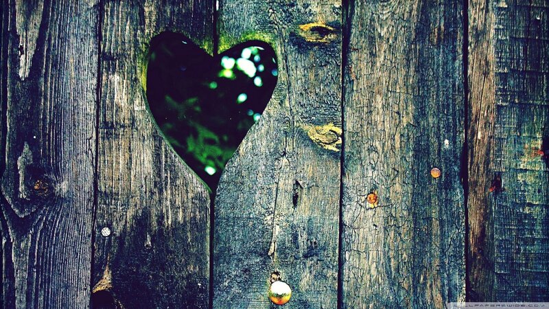 heart-shaped hole in wooden fence