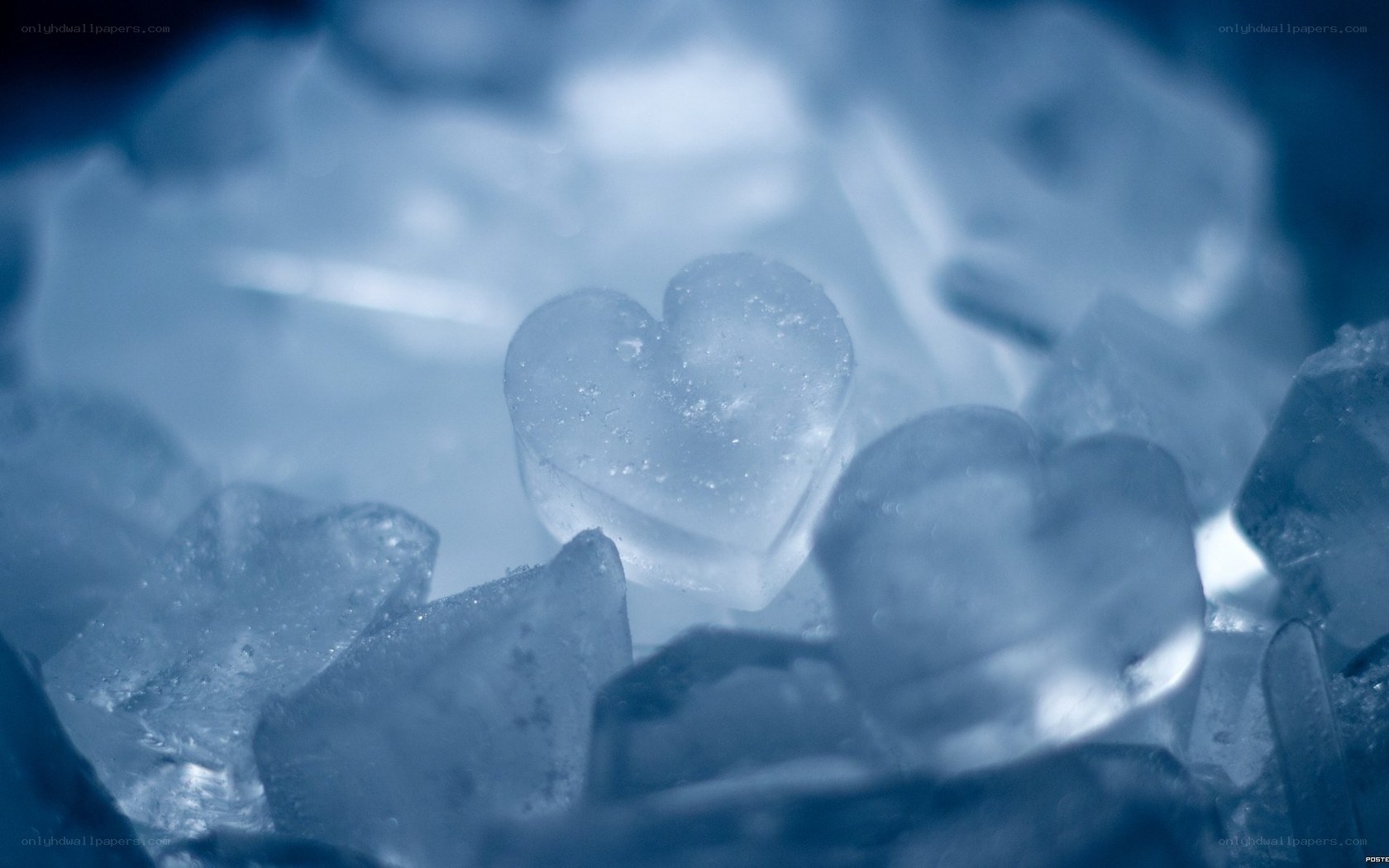 heart-shaped ice cubes