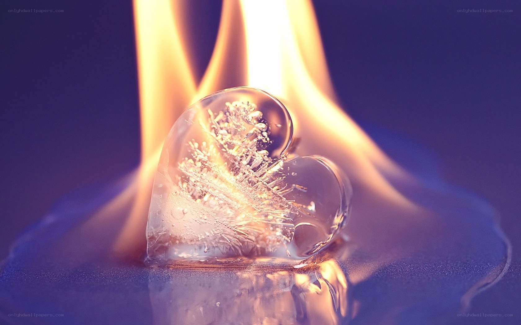 heart-shaped ice melting in fire