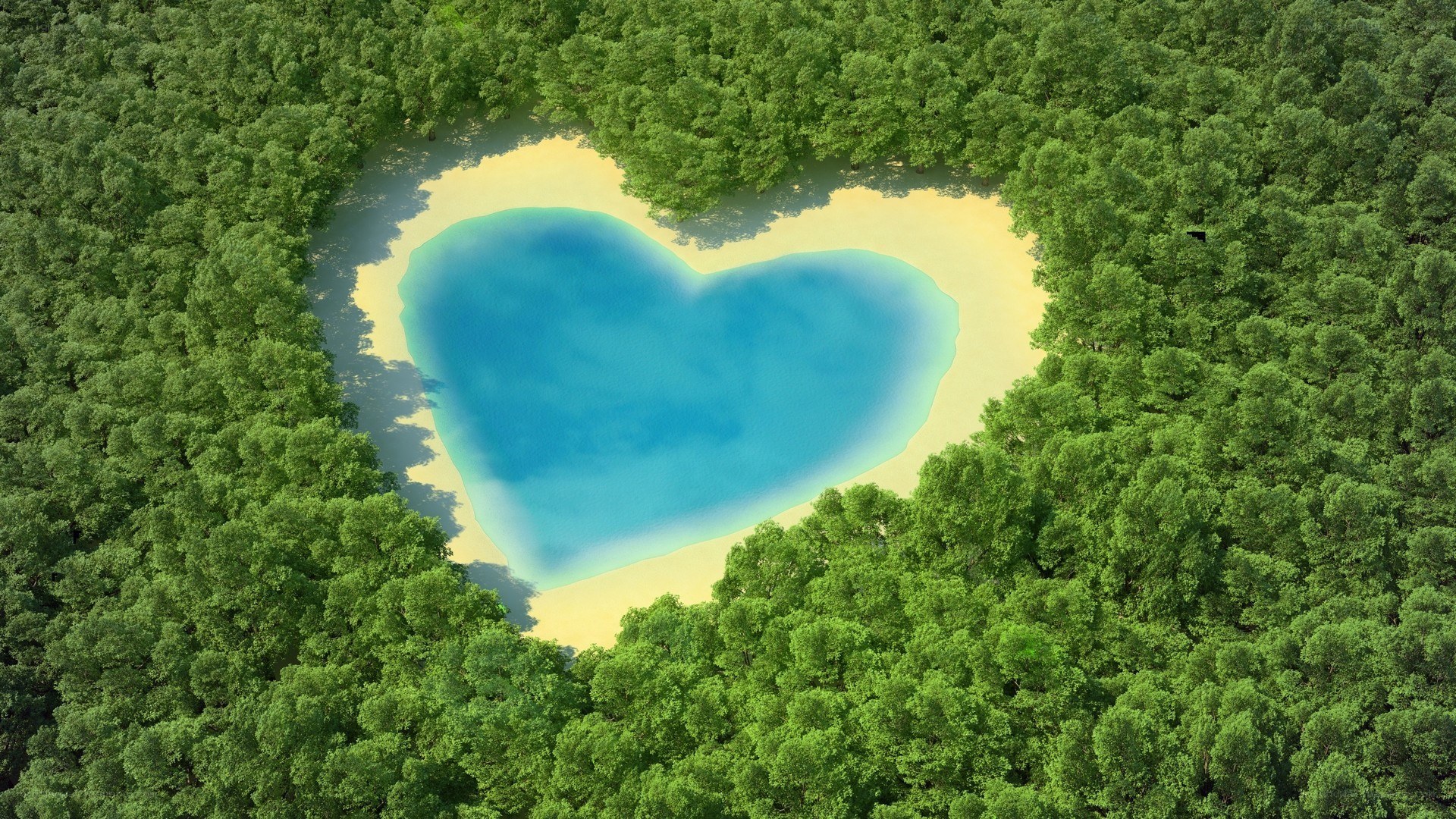 heart-shaped lake in forest