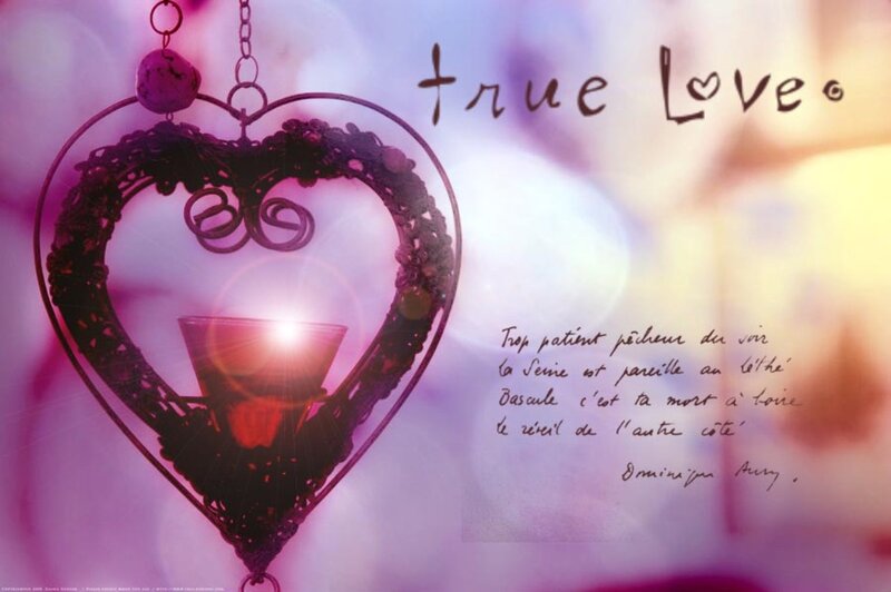 Heart-shaped Lantern — Purple