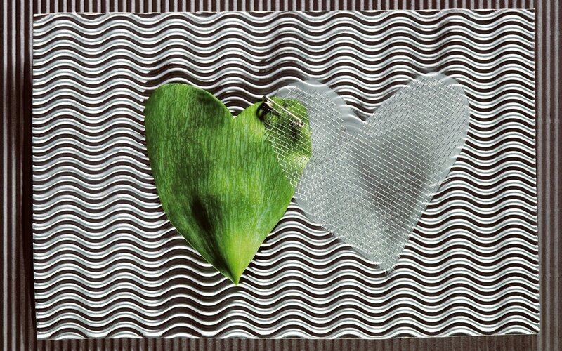 Heart-shaped leaf and mesh on patterned background