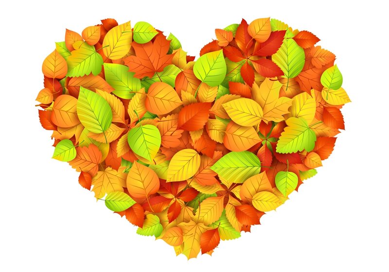 Heart-shaped Leaf Arrangement