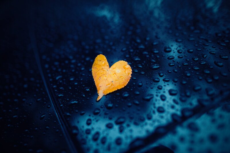 Heart-shaped Leaf — Blue