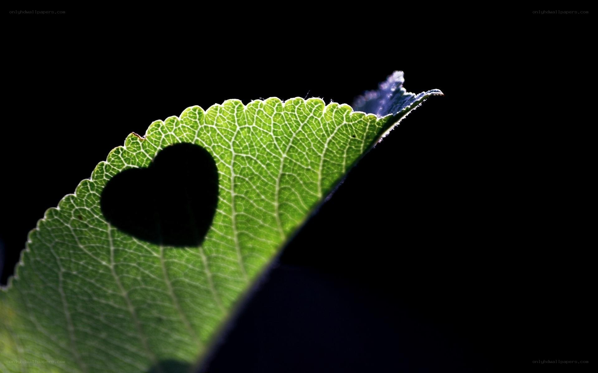 Heart-shaped leaf cutout