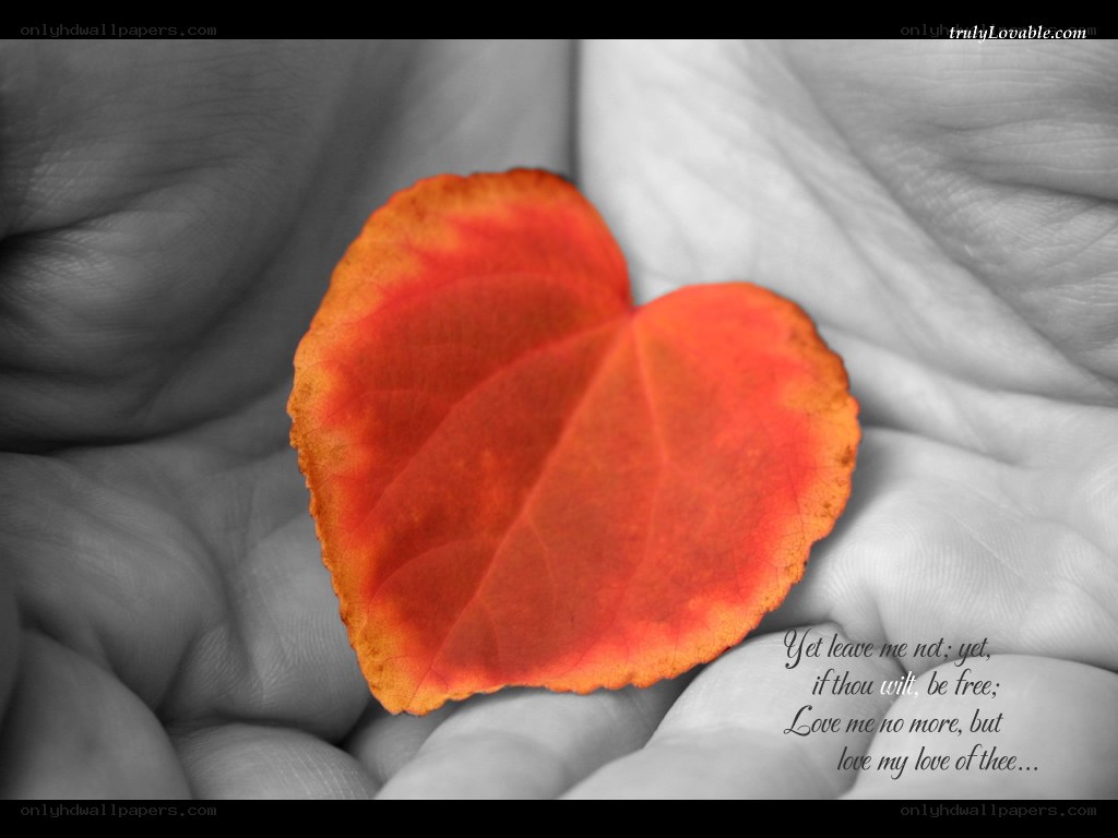 heart-shaped leaf in hand