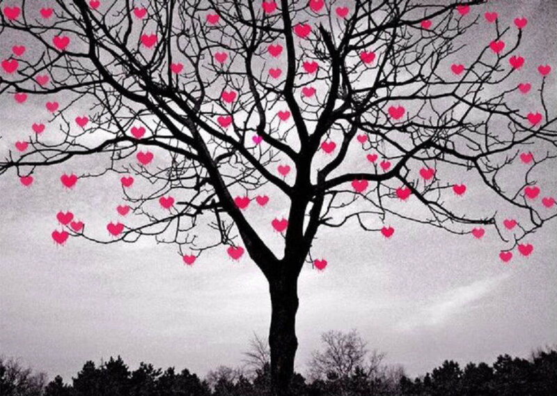 heart-shaped leaves on a bare tree