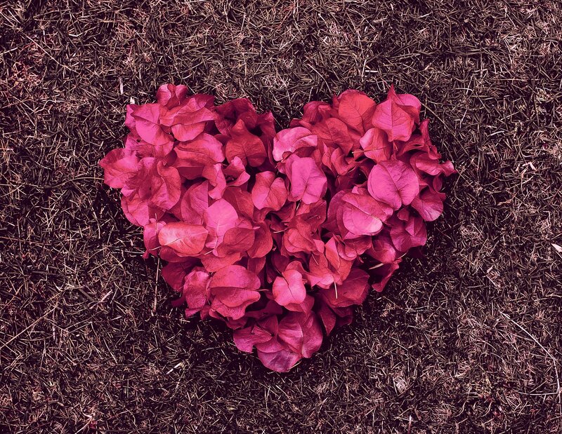 Heart-shaped Leaves — Red
