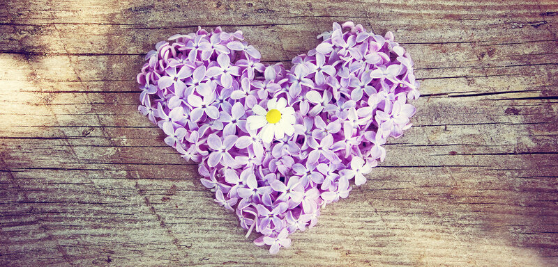 Heart-shaped Lilac Flowers