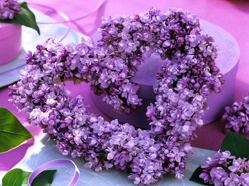 Heart-shaped Lilac Wreath — Purple, Romantic
